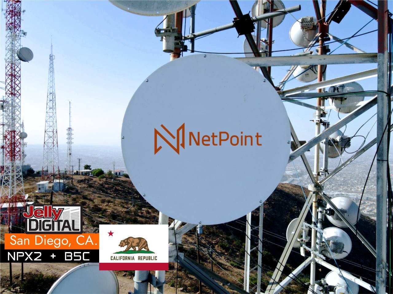 Netpoint antennas